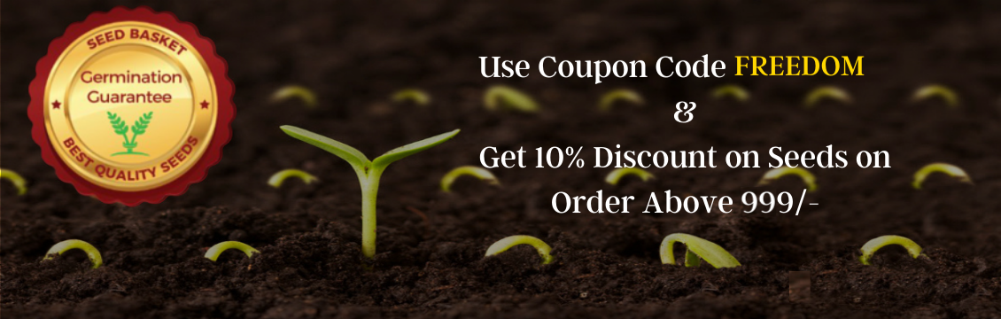 SeedBasket PlayStore