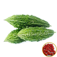 Bitter Gourd Hybrid Bitter Gourd Hybrid