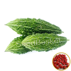 Bitter Gourd Hybrid Bitter Gourd Hybrid