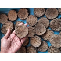 Homemade Desi Cow Dung Cake(15 Pack-Free Delivery) Homemade Desi Cow Dung Cake(15 Pack-Free Delivery)
