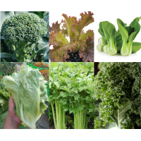 Exotic vegetable seeds - pack of 6 Exotic vegetable seeds - pack of 6
