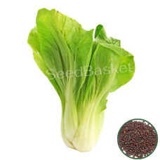 Pak Choi (400 Seeds)