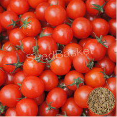Cherry Tomato Red F1 Hybrid