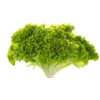 Lettuce Batavia (400Seeds) Lettuce Batavia (400Seeds)