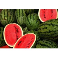 Water Melon Green F1 Hybrid (12 Seeds) Water Melon Green F1 Hybrid (12 Seeds)