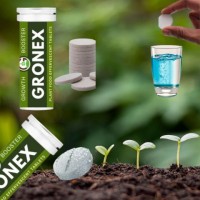 Plant Growth Nutrient Tablets (10 nos) Plant Growth Nutrient Tablets (10 nos)