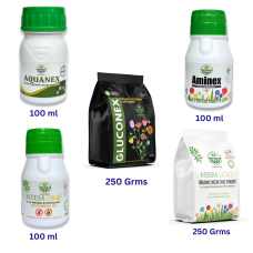 Plant Care Kit ( Pack of 5) Natural and Organic Plant Care Kit ( Pack of 5) Natural and Organic