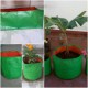 Grow Bags Grow Bags