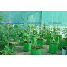 HDPE Grow Bag 9X9 inch HDPE Grow Bag 9X9 inch