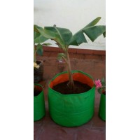 HDPE Grow Bag 18X18 inch HDPE Grow Bag 18X18 inch