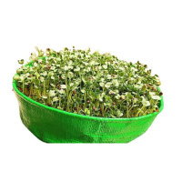 HDPE Growbags 9X2 inch for Microgreens HDPE Growbags 9X2 inch for Microgreens