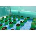 HDPE Grow Bag 12X12 (Pack Of Four) HDPE Grow Bag 12X12 (Pack Of Four)