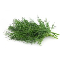 Dill(Soya) (500 Seeds )