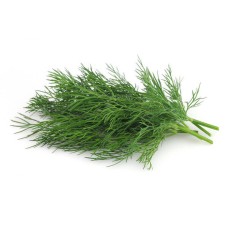 Dill(Soya) (500 Seeds ) Dill(Soya) (500 Seeds )