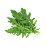 Herb Rocket Arugula (300 Seeds) Herb Rocket Arugula (300 Seeds)
