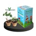 Little Gardeners Kit for Kids Little Gardeners Kit for Kids