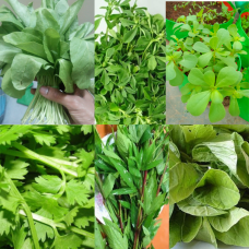 Leafy vegetable seeds - pack of 6 Leafy vegetable seeds - pack of 6