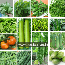 Summer Vegetables Seeds Kit Pack of 14 Summer Vegetables Seeds Kit Pack of 14