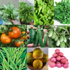 Winter Vegetables Seeds Kit Pack of 10 Winter Vegetables Seeds Kit Pack of 10