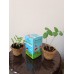 Little Gardeners Kit for Kids Little Gardeners Kit for Kids