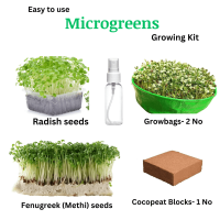 Microgreens Growing Kit Pack of 2 Microgreens Growing Kit Pack of 2
