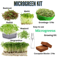 Microgreens Growing Kit Pack-5 Microgreens Growing Kit Pack-5