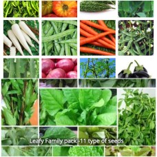 Native Seeds Kit Pack of 27 Native Seeds Kit Pack of 27