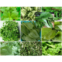 Leafy Seeds Pack of 10 Leafy Seeds Pack of 10