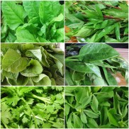 Leafy Vegetables
