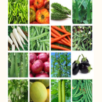 Vegetable seeds kit pack of 16 Vegetable seeds kit pack of 16