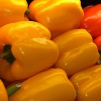 Capsicum Yellow Hybrid (25 Seeds) Capsicum Yellow Hybrid (25 Seeds)