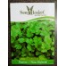 Coriander (300+ Seeds) Coriander (300+ Seeds)