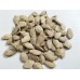 Ash Gourd (50 Seeds) Ash Gourd (50 Seeds)