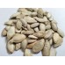 Pumpkin ( 25 seeds) Pumpkin ( 25 seeds)