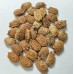 White Bitter Gourd (30 Seeds)