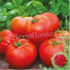 Tomato Hybrid (20 Seeds) Tomato Hybrid (20 Seeds)