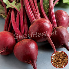 Beetroot (100 Seeds) Beetroot (100 Seeds)