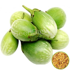 Brinjal Green Round (400+ Seeds) Brinjal Green Round (400+ Seeds)