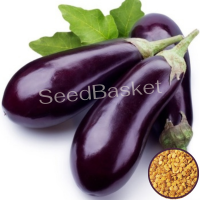 Brinjal Purple Long (400 Seeds) Brinjal Purple Long (400 Seeds)