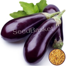 Brinjal Purple Long (400 Seeds) Brinjal Purple Long (400 Seeds)