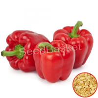 Capsicum Red F1 Hybrid(25 Seeds) Capsicum Red F1 Hybrid(25 Seeds)