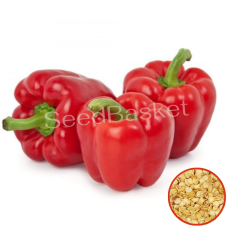 Capsicum Red F1 Hybrid(25 Seeds) Capsicum Red F1 Hybrid(25 Seeds)