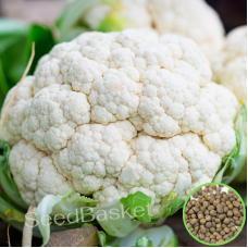 Cauliflower Non-Hybrid (200 Seeds)