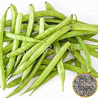 Cluster Beans (80+ Seeds) Cluster Beans (80+ Seeds)