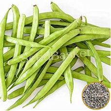 Cluster Beans (80+ Seeds)