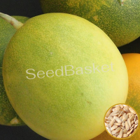 Yellow Cucumber(Dosakaya) (100+ Seeds) Yellow Cucumber(Dosakaya) (100+ Seeds)