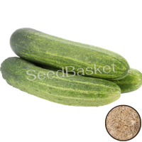 Keera Cucumber Non Hybrid (50 Seeds) Keera Cucumber Non Hybrid (50 Seeds)