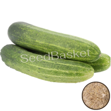 Keera Cucumber Non Hybrid (50 Seeds)