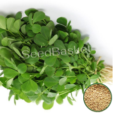 Methi (350 Seeds) Methi (350 Seeds)