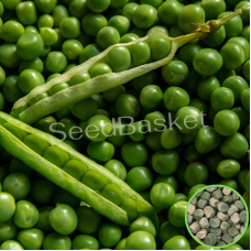 Peas Green (30 Seeds)